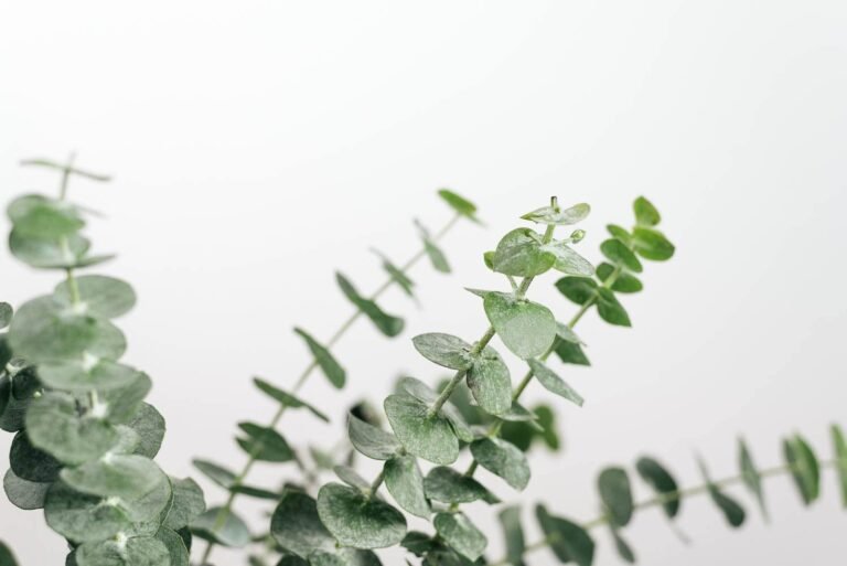 Far far away, behind the word mountains